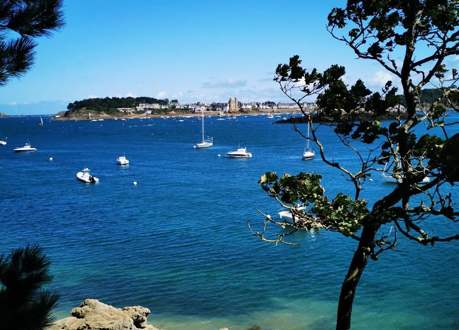Studio Bas Sablon - 50M Plage Saint-Malo Apartment